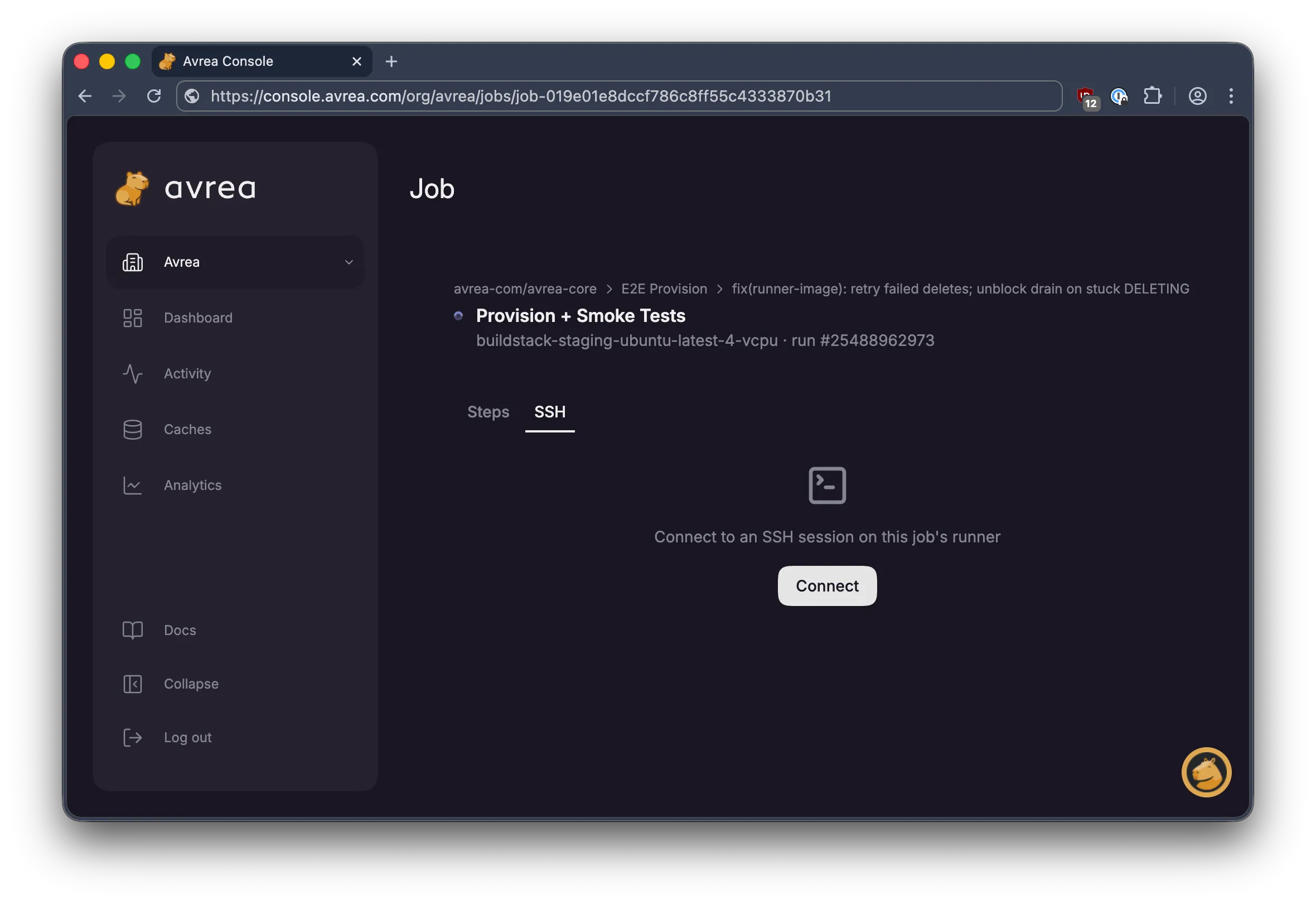 SSH tab on a running job in the Avrea console with a Connect button